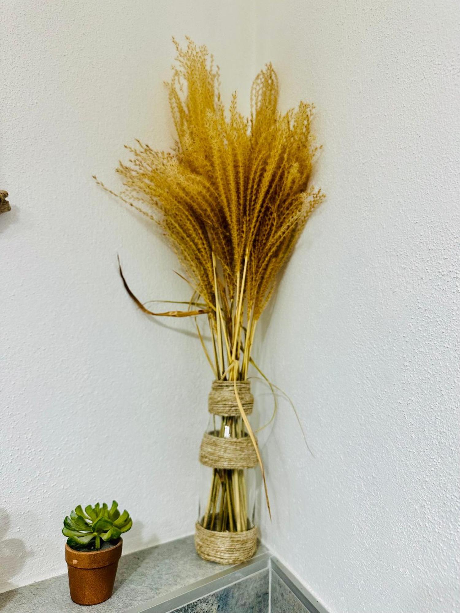 Il Giardino Davanti Al Mare Orosei Exteriér fotografie